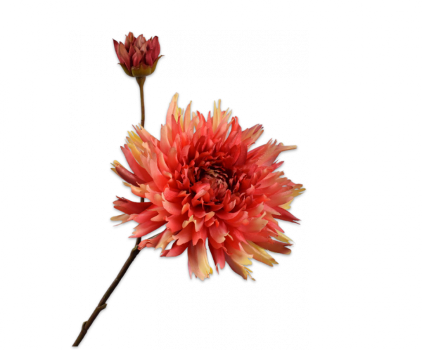 Chrysant Tak Oranje/Geel 78 cm